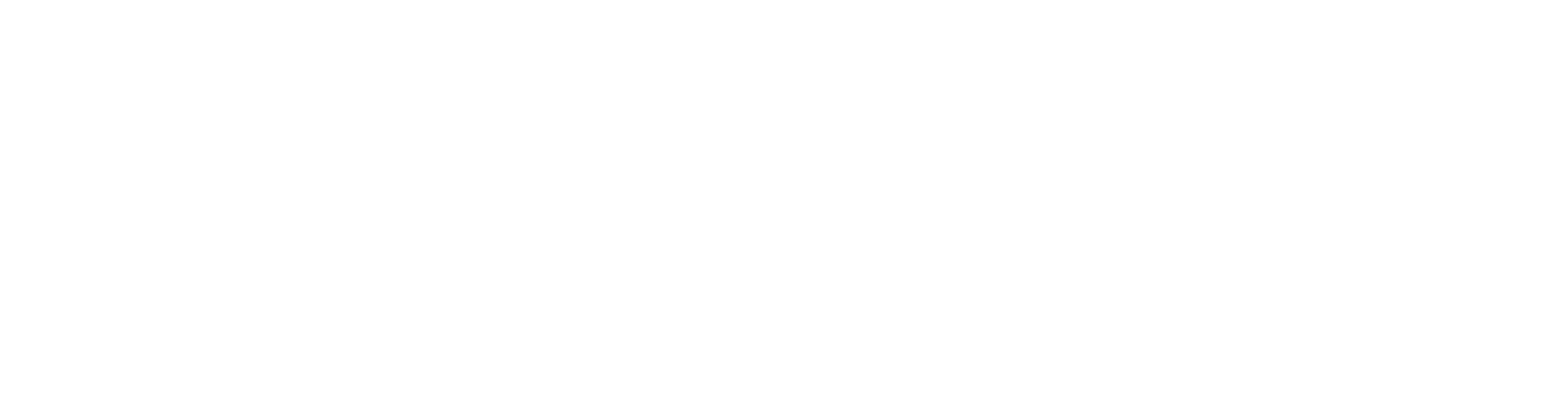 Vibex Store logo